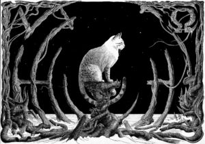 The Cat, 2007 — PDK