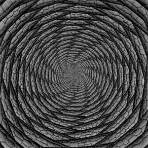 Vortex, 2005 — PDK